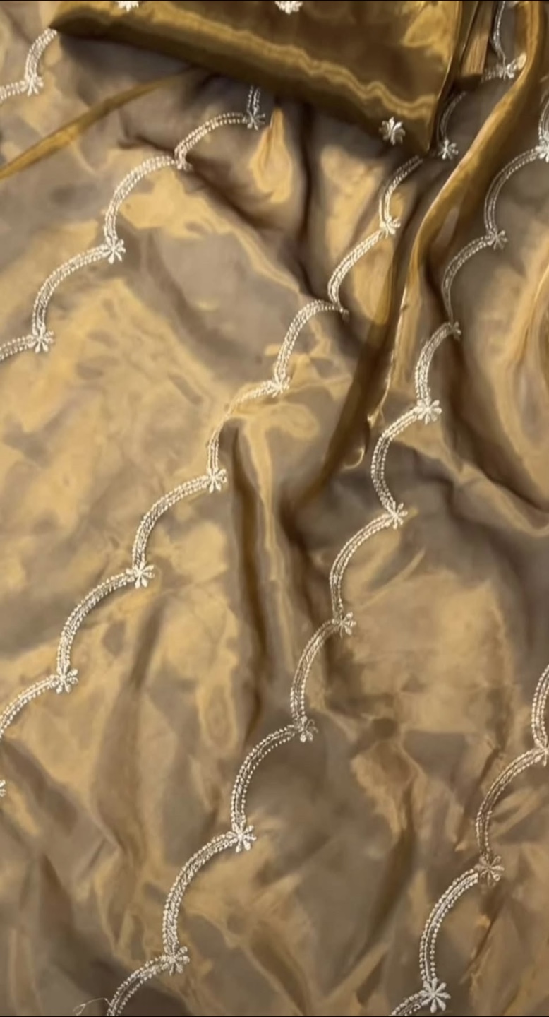 Elegant Brown Fabric with Embroidered Detailing saree - photo 2