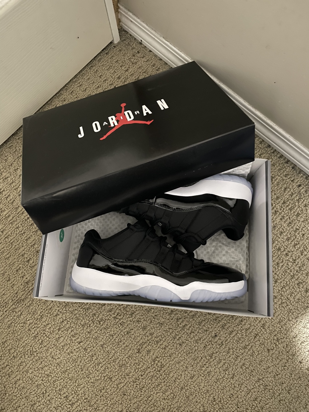 Air Jordan 11 Low space jam
