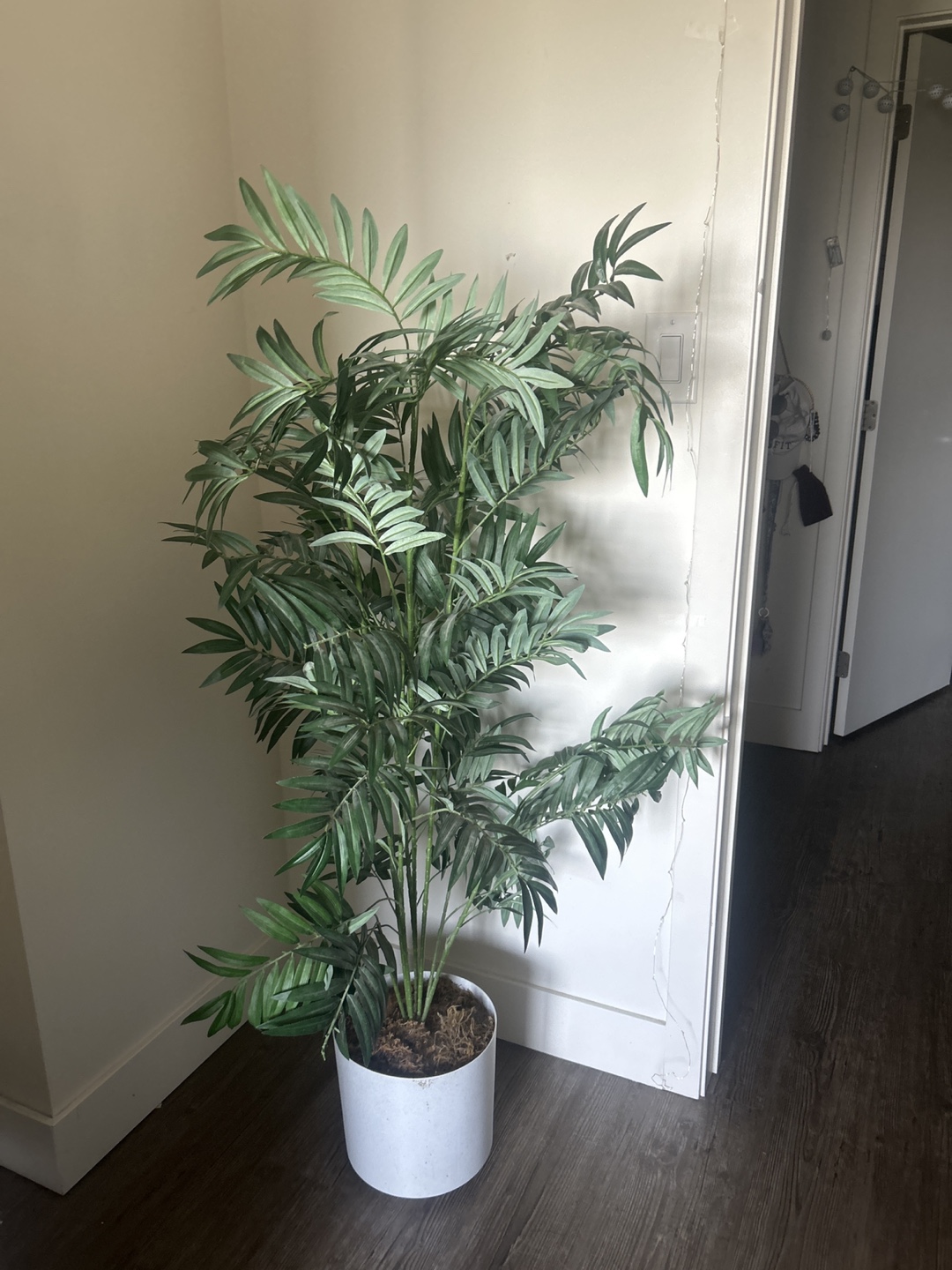 Fake plant