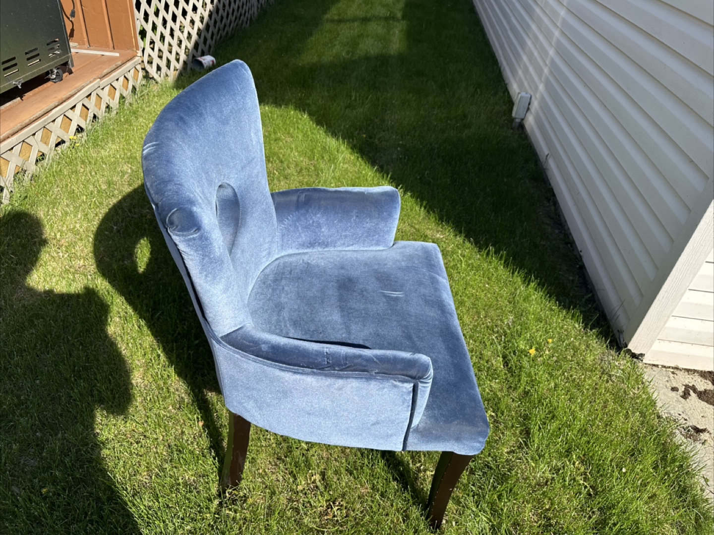 Velvet Accent Chair - photo 4