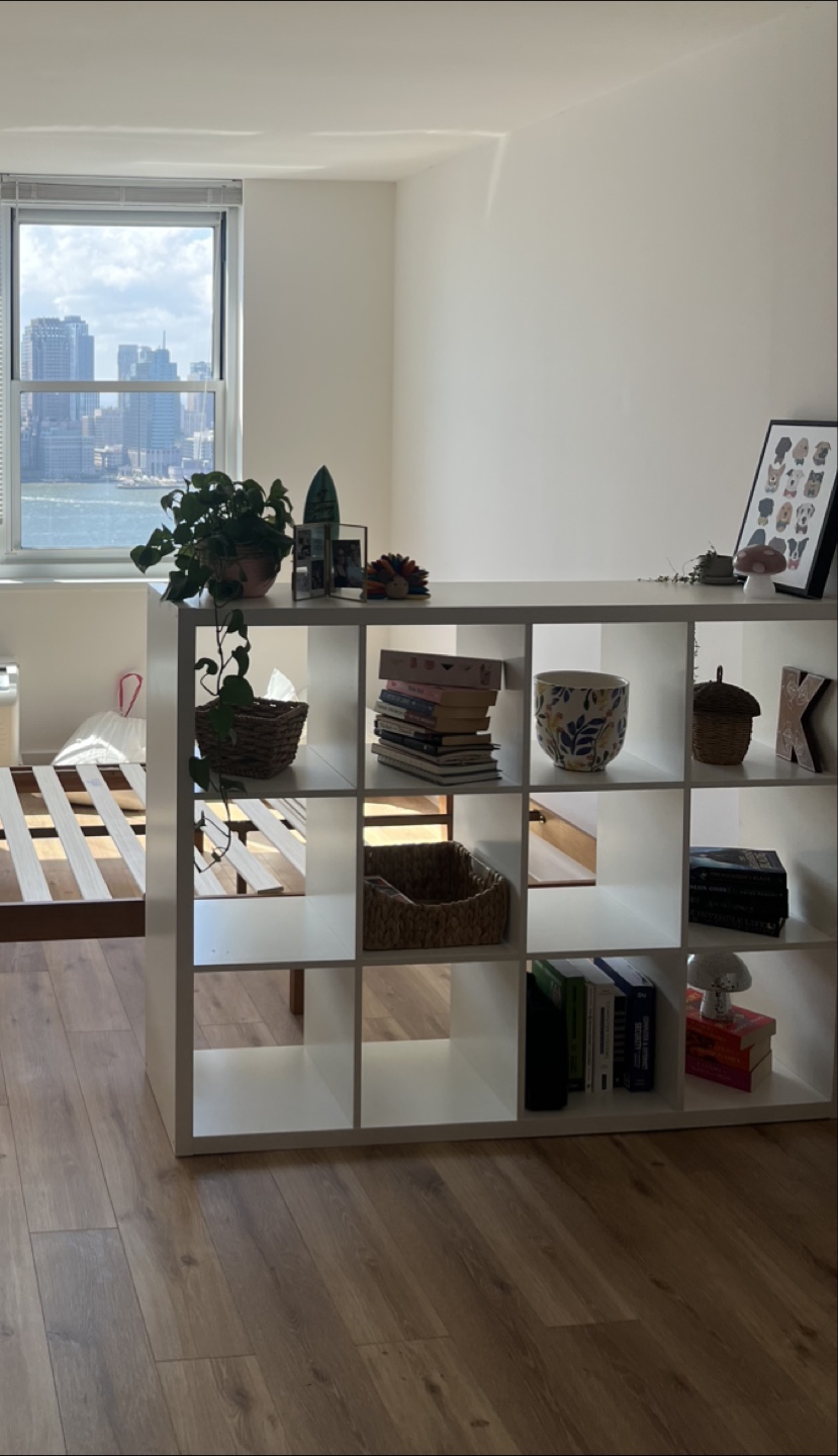 Cube Organizer Shelf