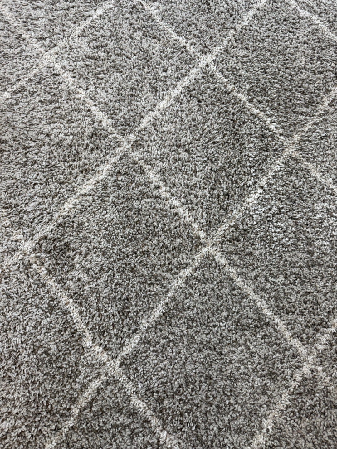 Grey Shag Rug - photo 3