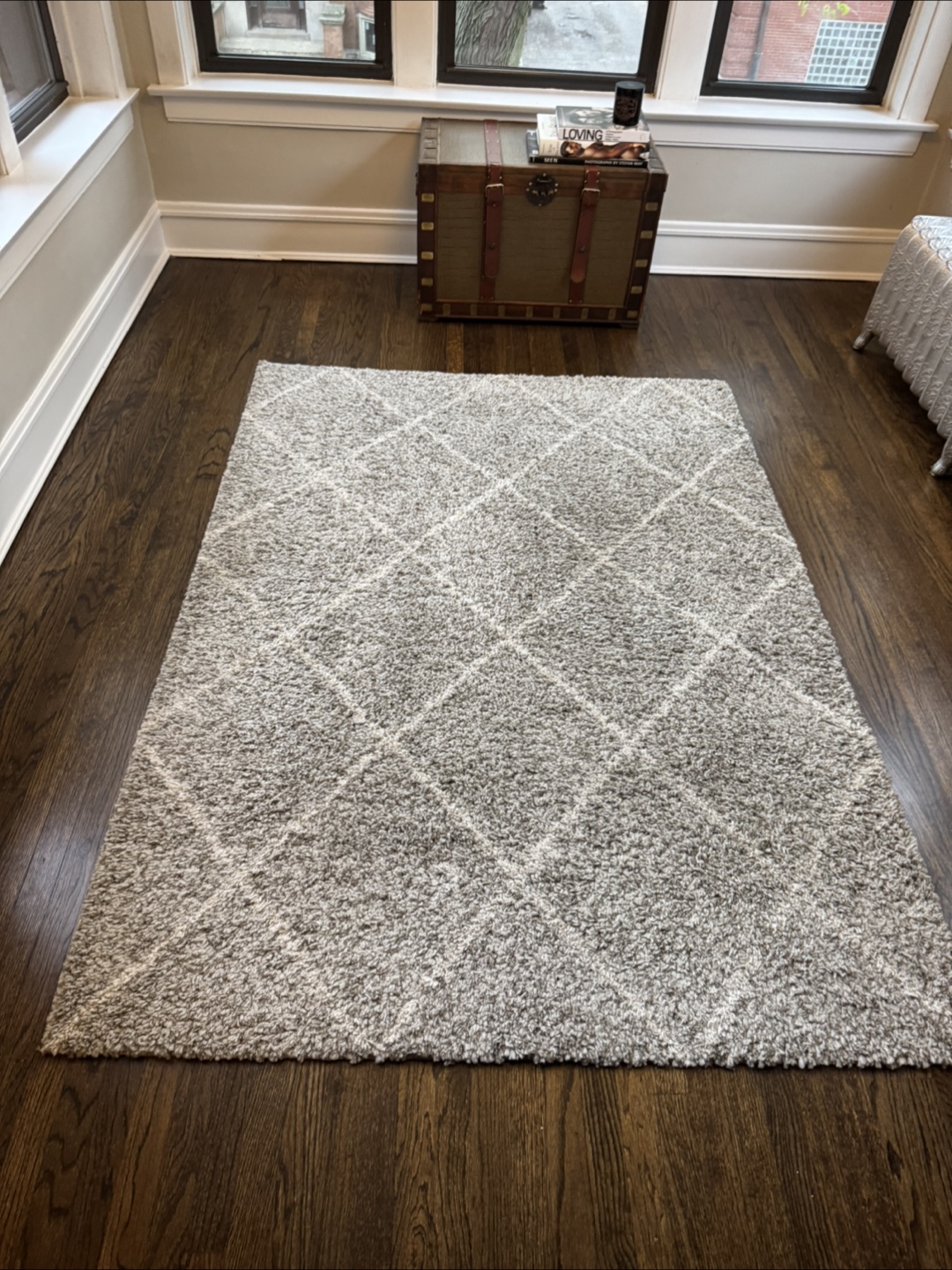 Grey Shag Rug - photo 2