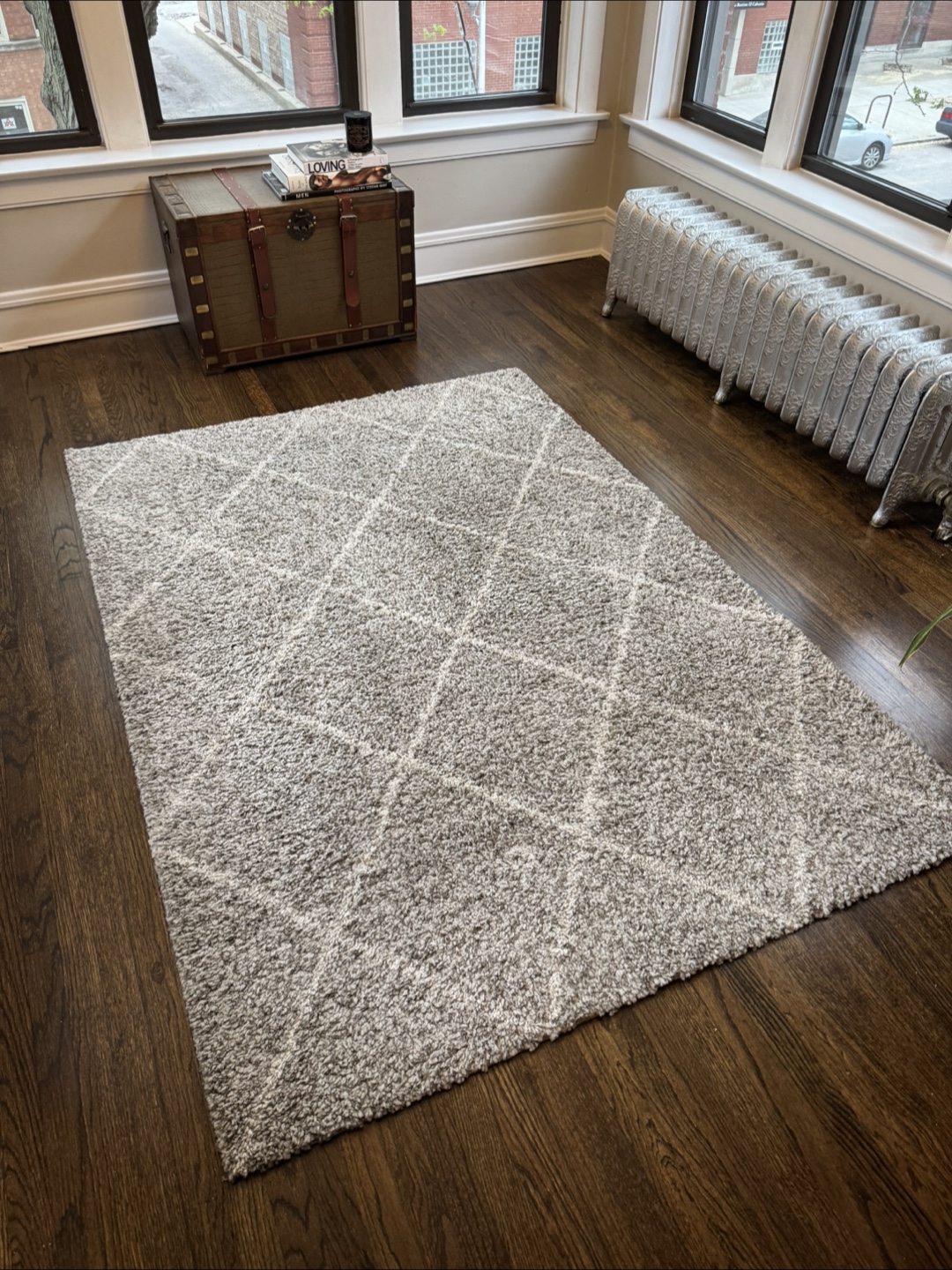 Grey Shag Rug