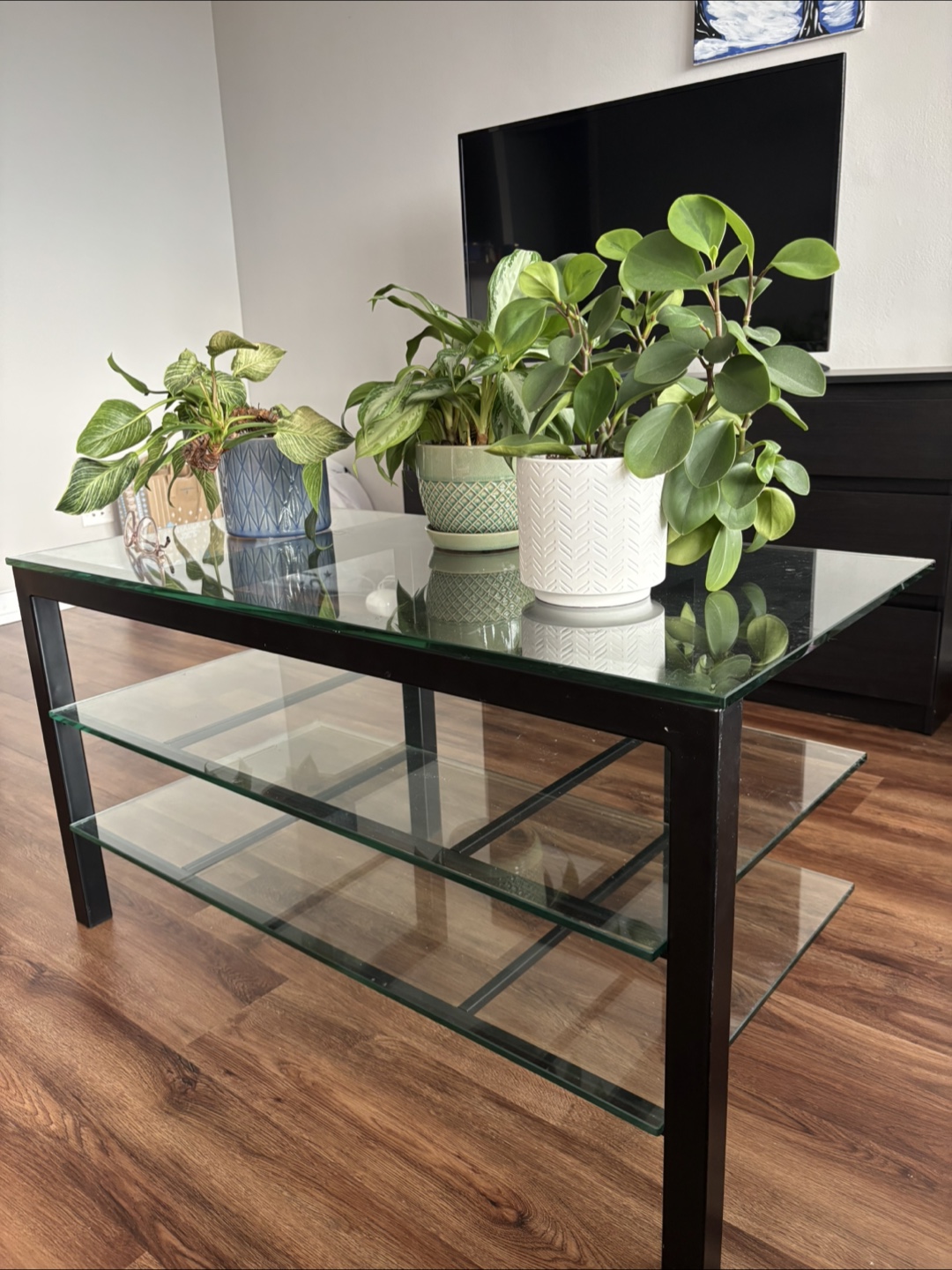 Glass Top Coffee Table with Two Shelves