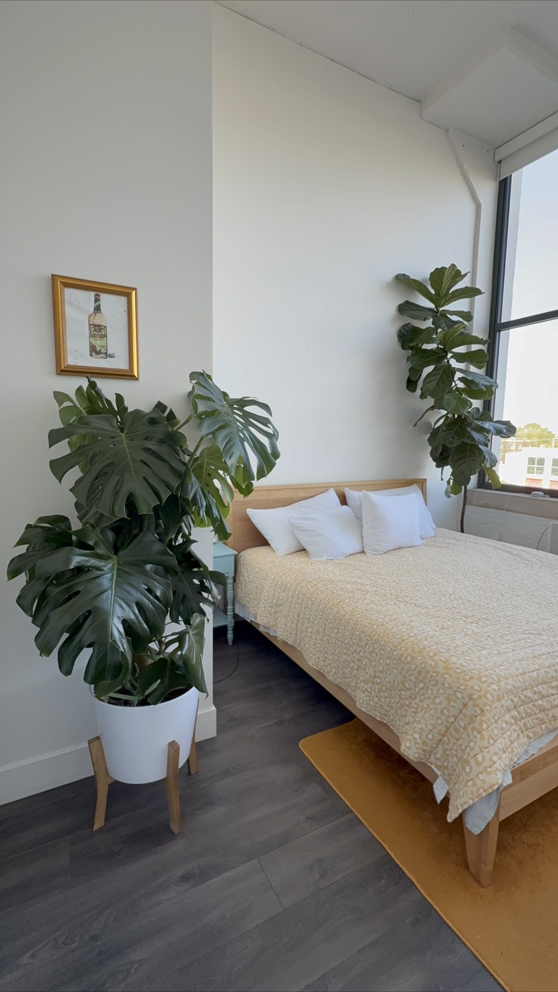 Large Monstera Plant with Pot and Stand - photo 3