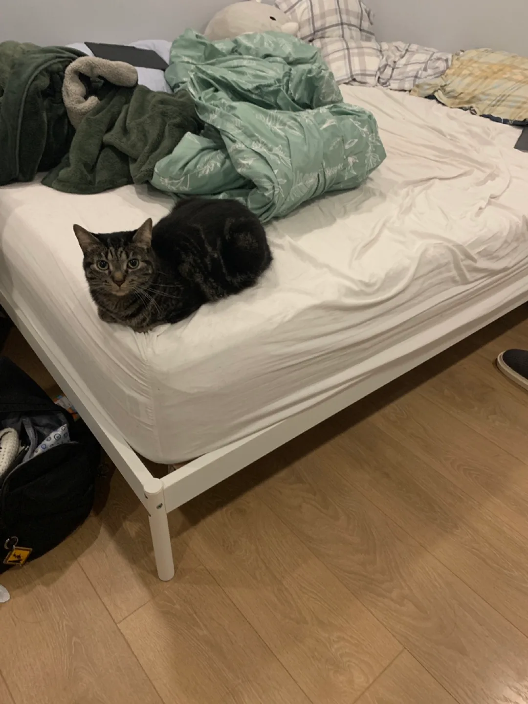 Queen Size Bed Frame