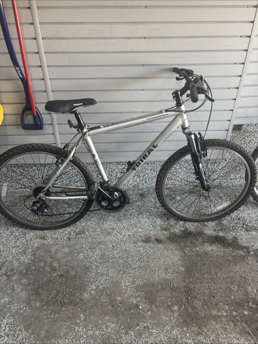 Tribal Ridgeback Bicycle