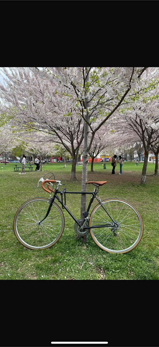 Raleigh VINTAGE BIKE - photo 2