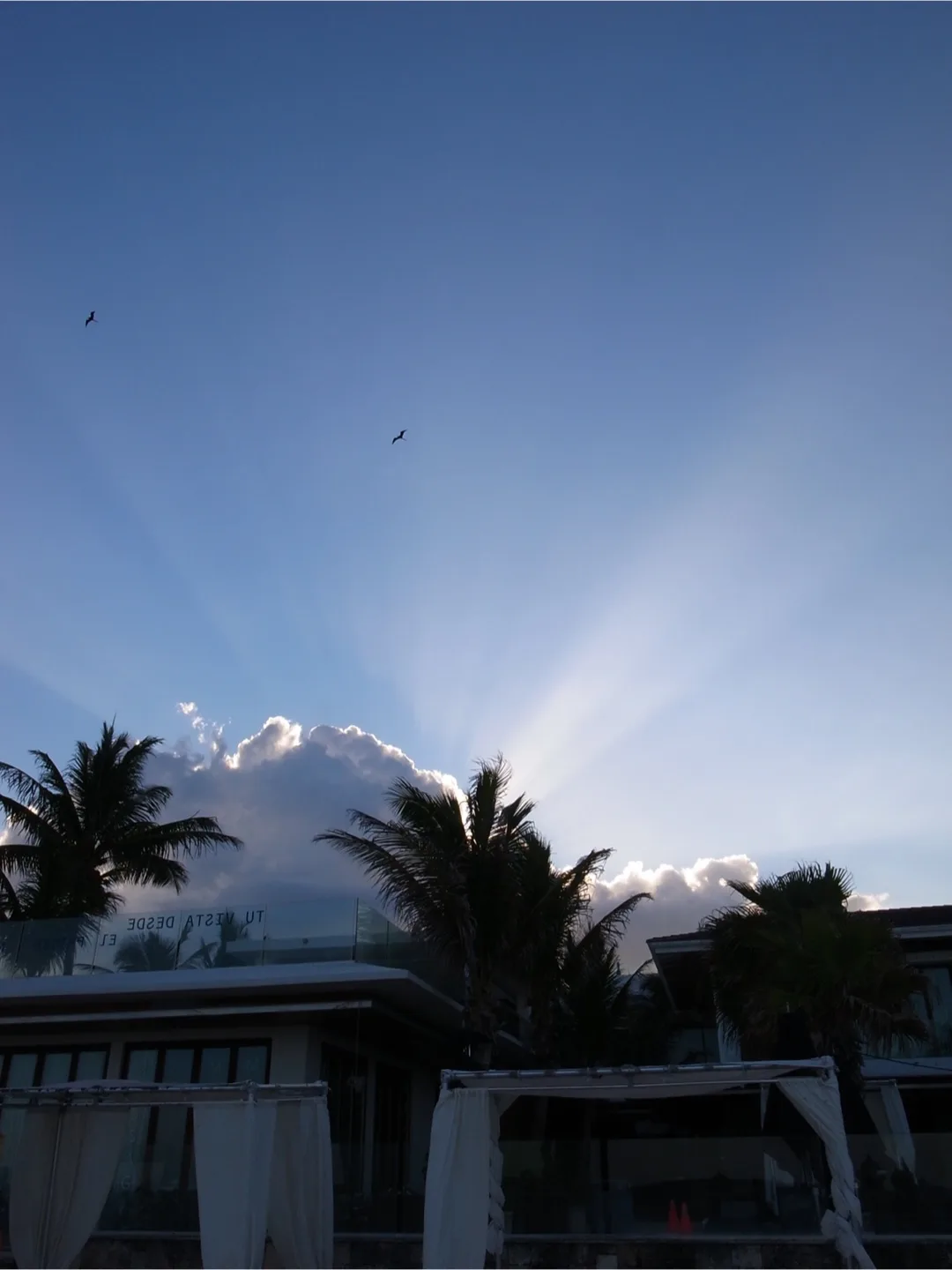 Ricoh GR Digital III Camera image indicator(7)