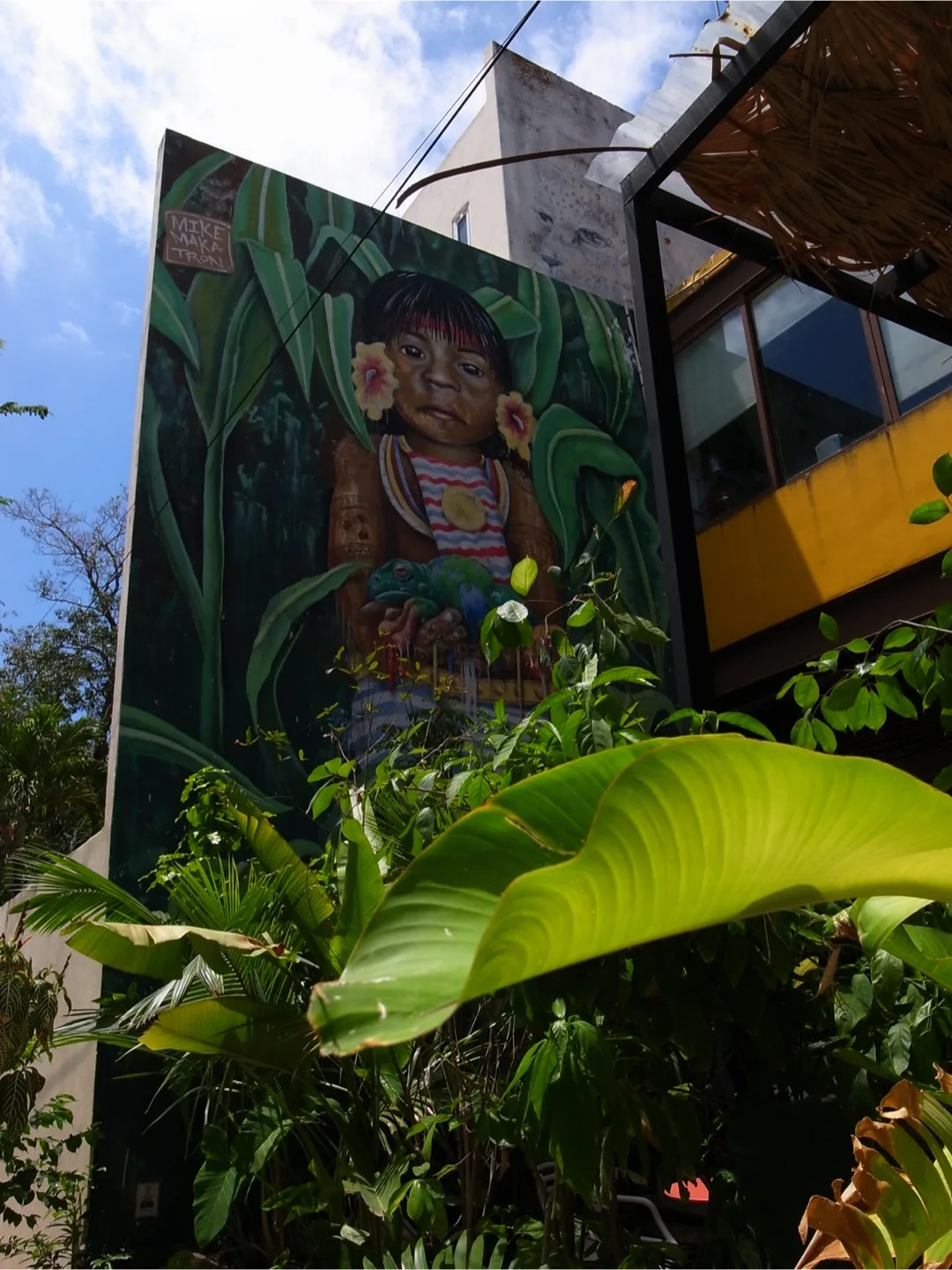 Ricoh GR Digital III Camera image indicator(9)