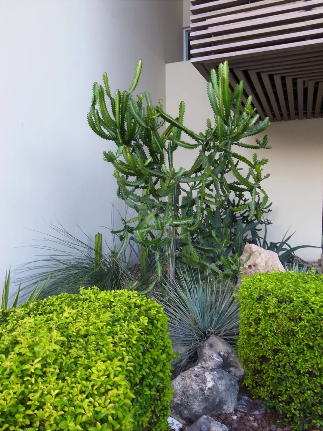 Ricoh GR Digital III Camera image indicator(6)