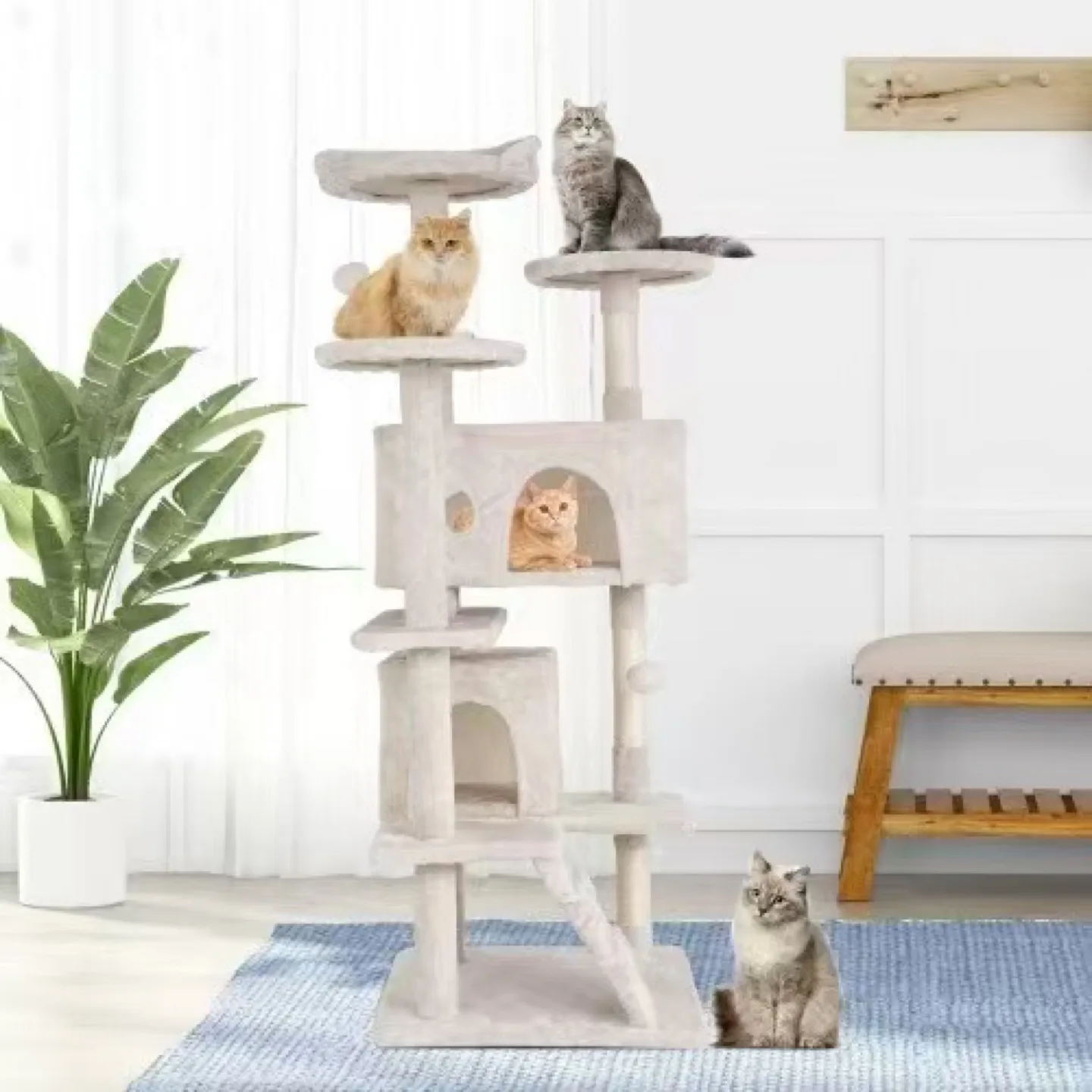 Cat Tree image indicator(3)