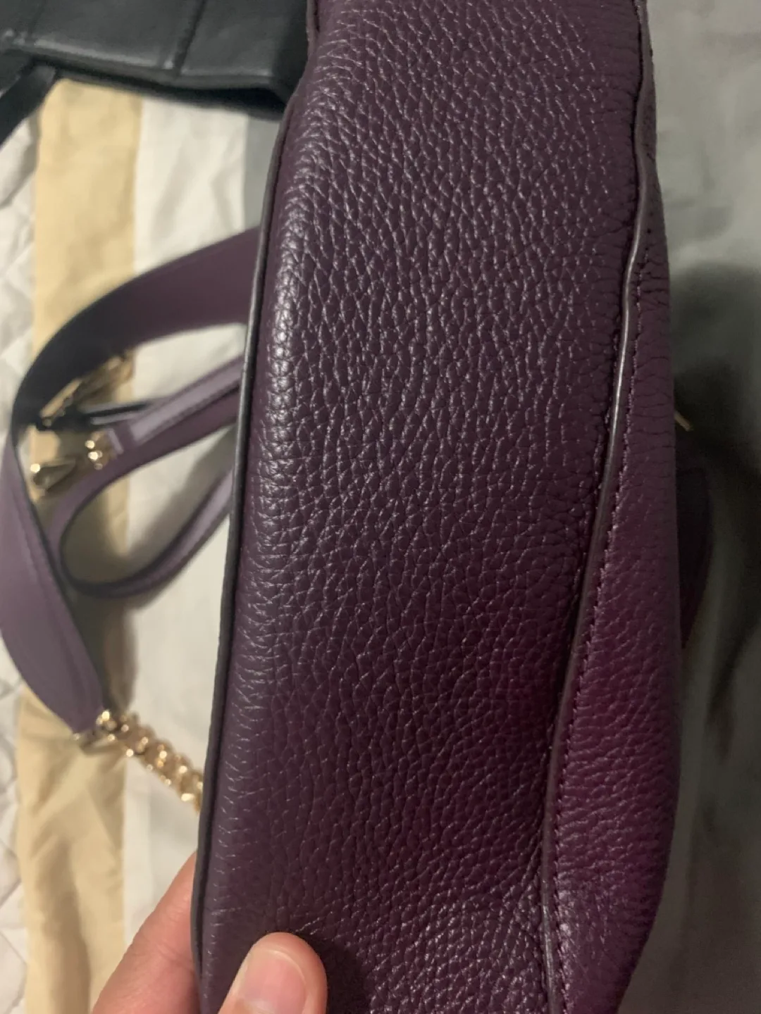 Michael Kors Purple Crossbody Bag image indicator(5)