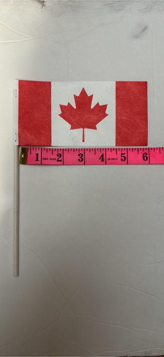 Canadian stick Flags 6x9 inches  (60 cents each) - photo 4