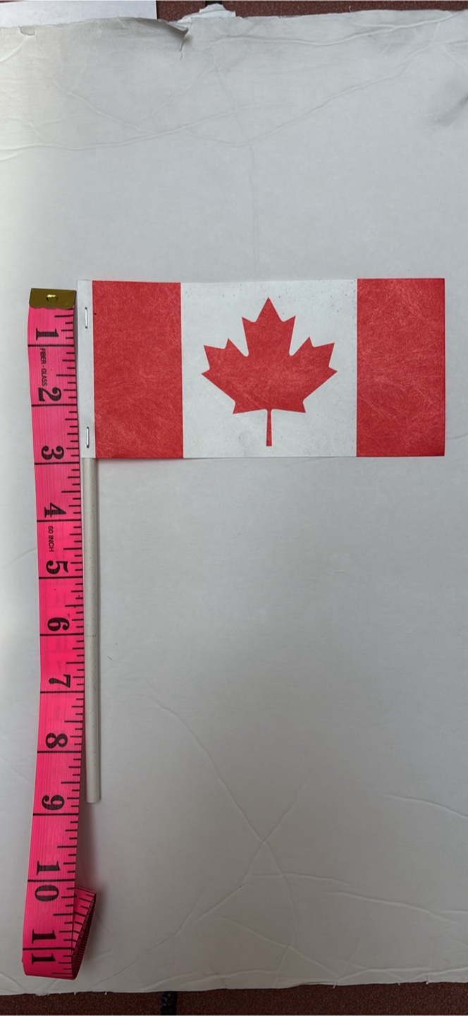 Canadian stick Flags 6x9 inches  (60 cents each) - photo 5