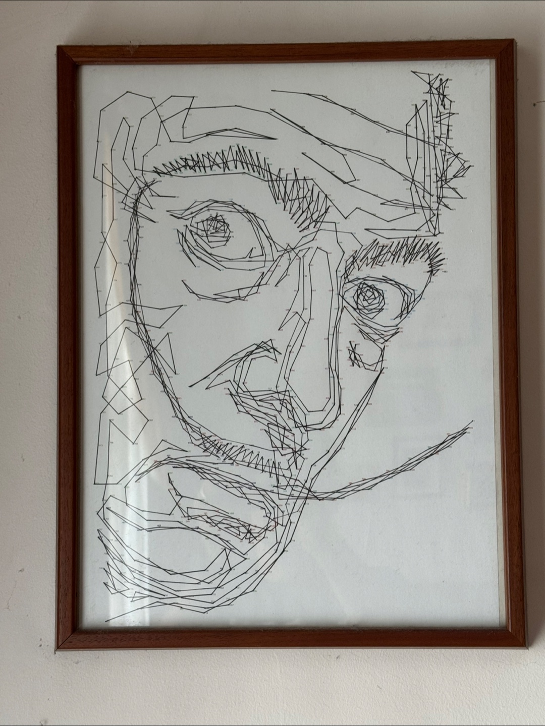 Framed Line Art Portrait - photo 3