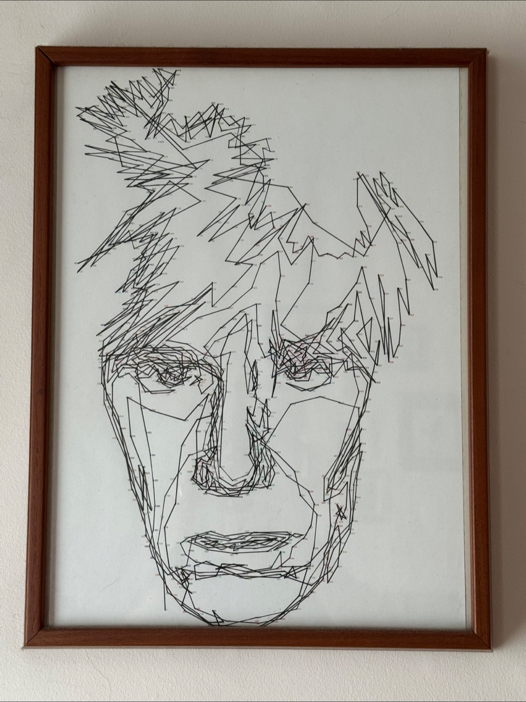 Framed Line Art Portrait - photo 2