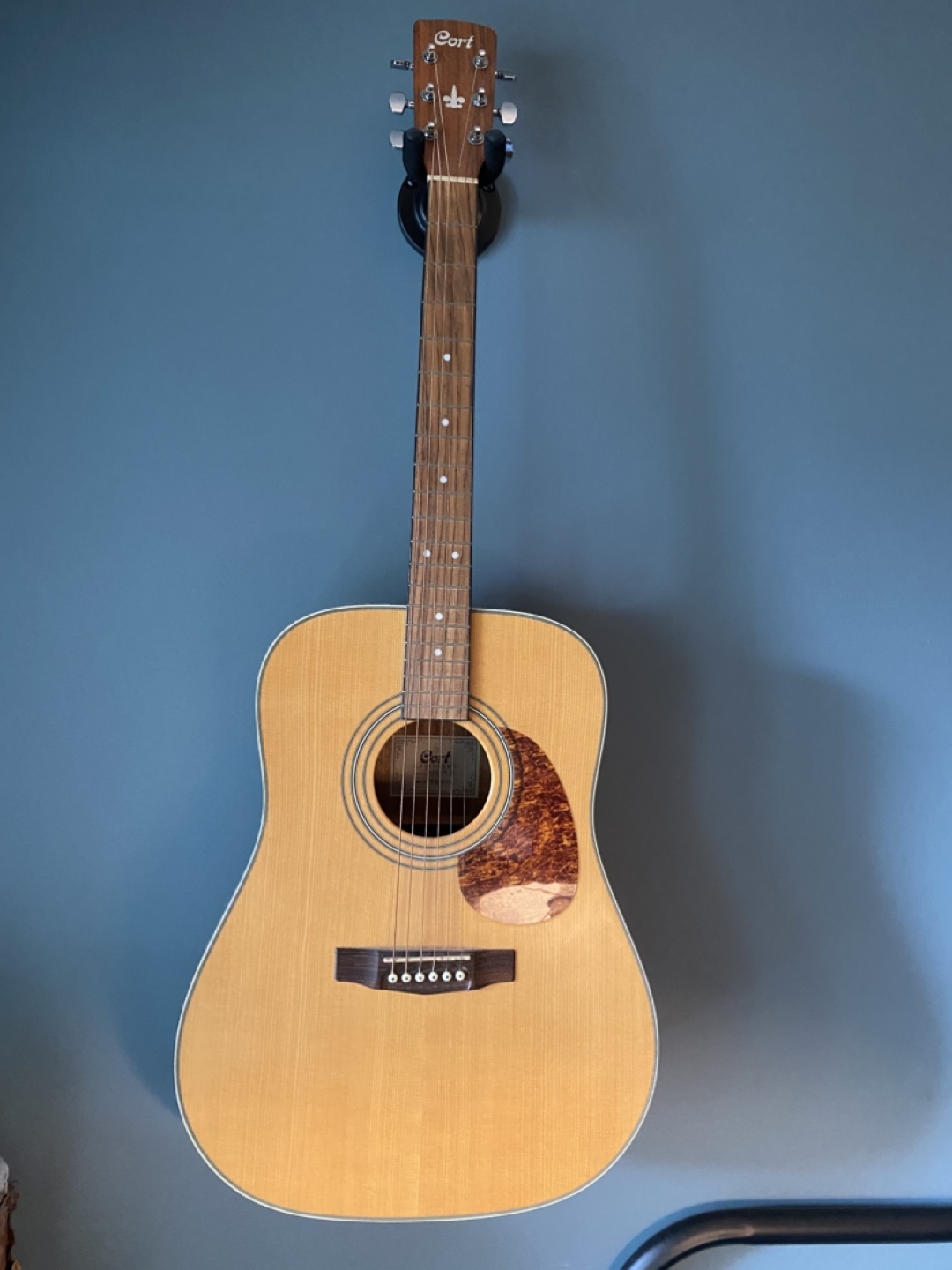 Acoustic Guitar