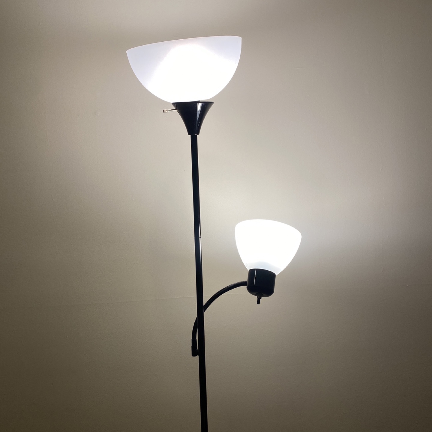 Floor Lamp with Adjustable Head