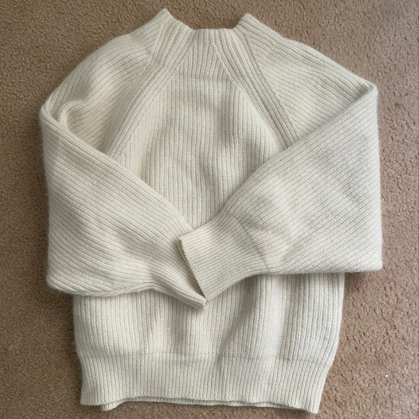 Fuzzy Knit Sweater