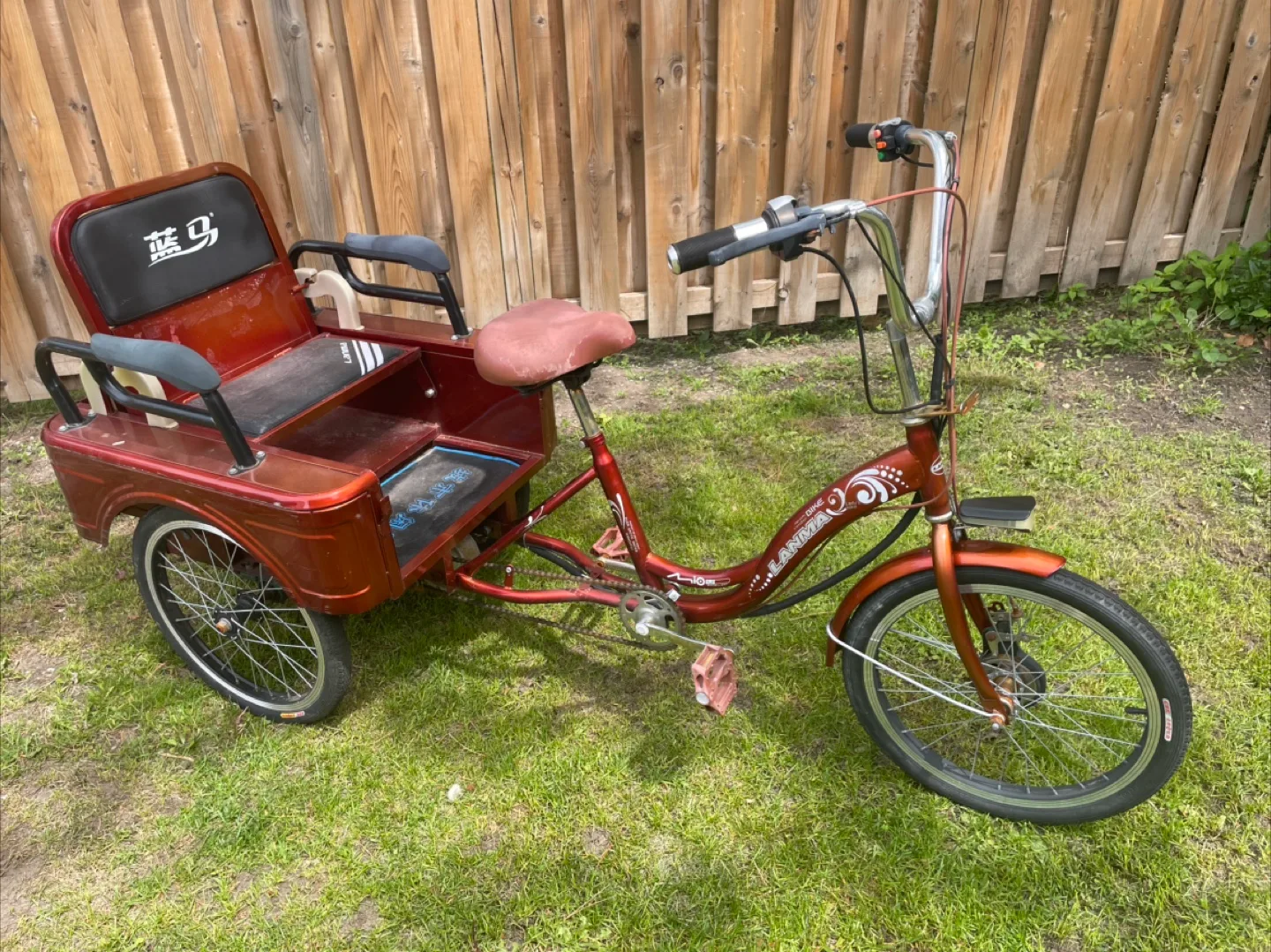 Red E Trike with Rickshaw Seating or Cargo Storage Area image indicator(5)
