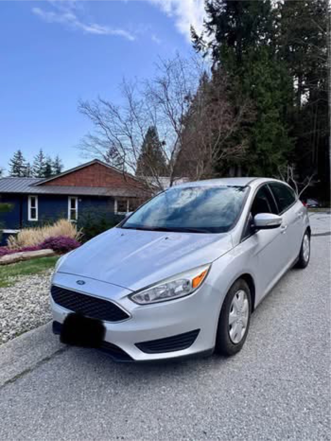2016 Ford Focus Vehicle