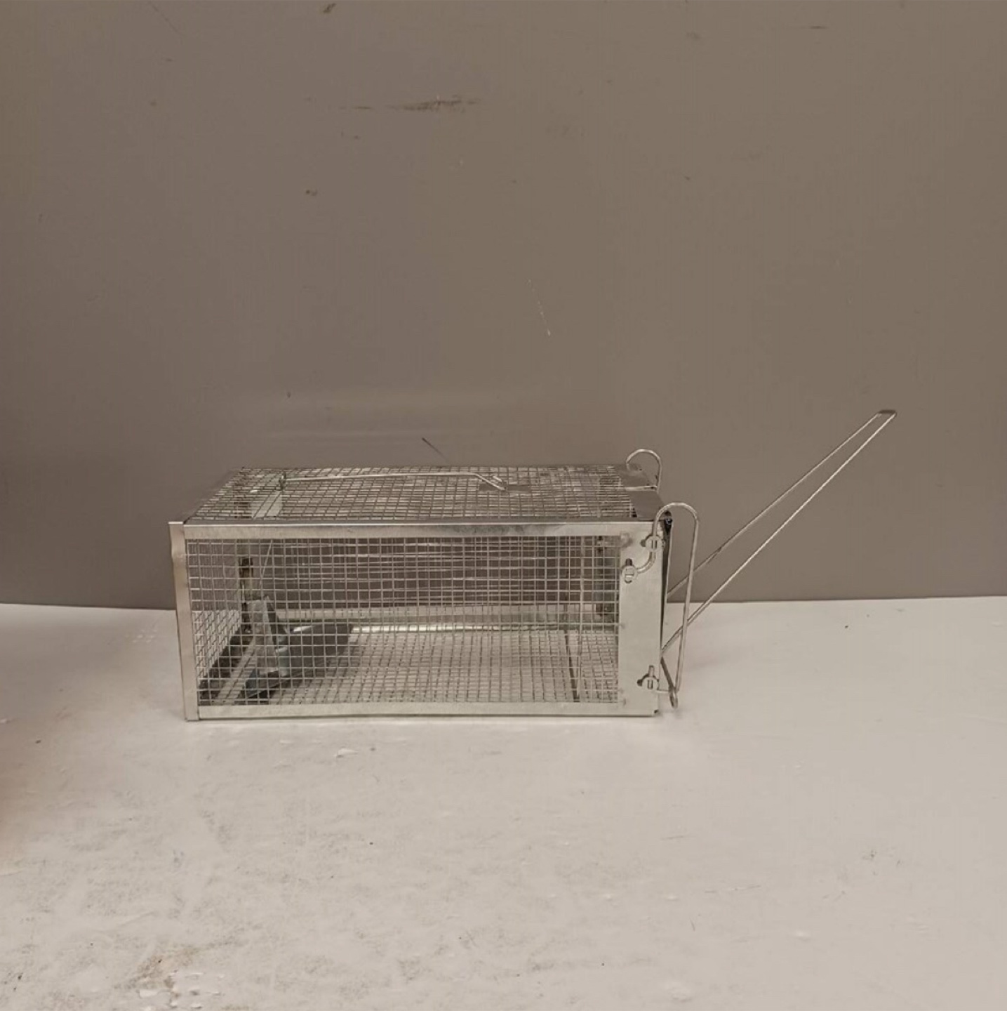 Humane Rodent Trap - photo 4
