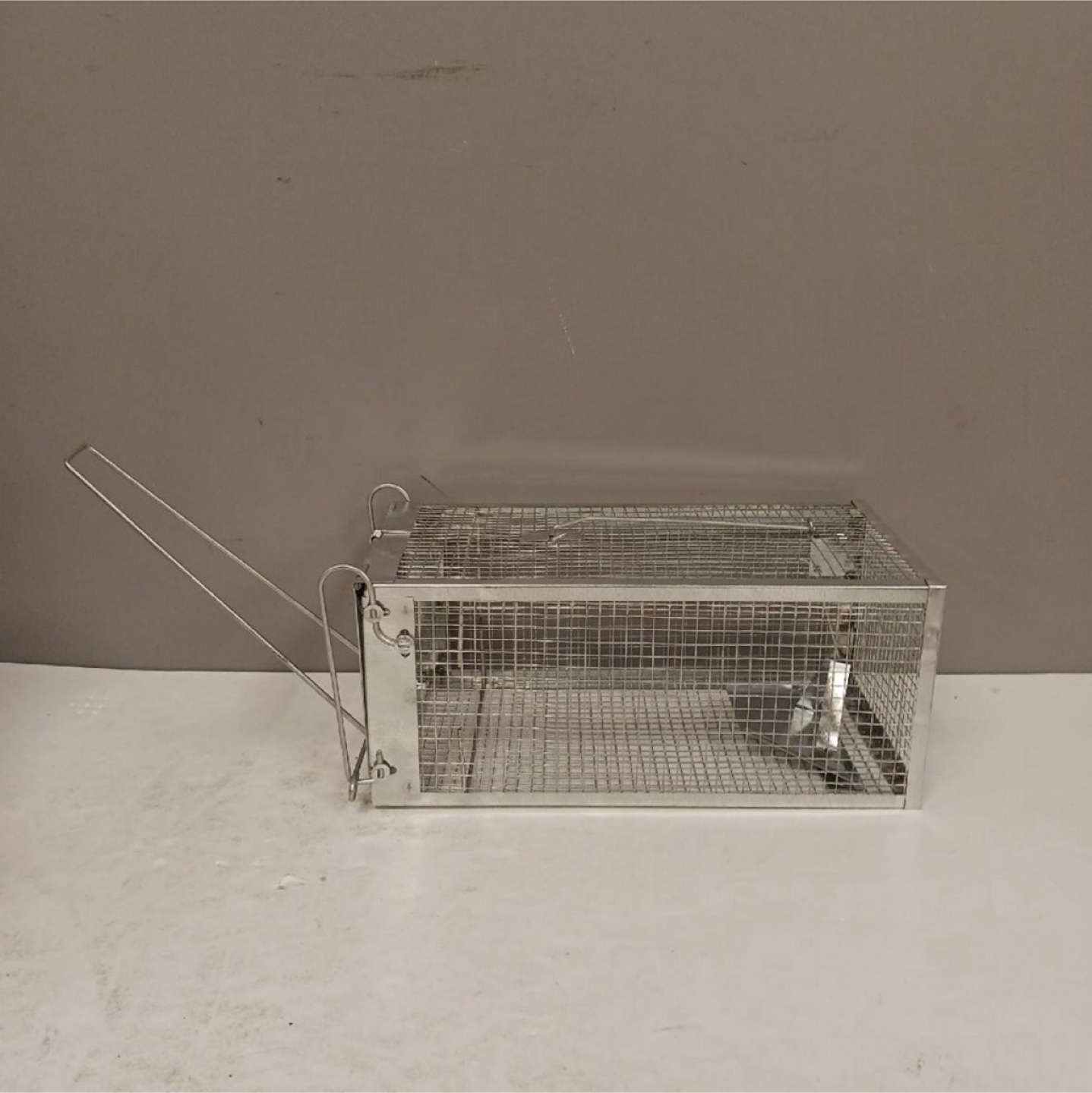 Humane Rodent Trap - photo 3