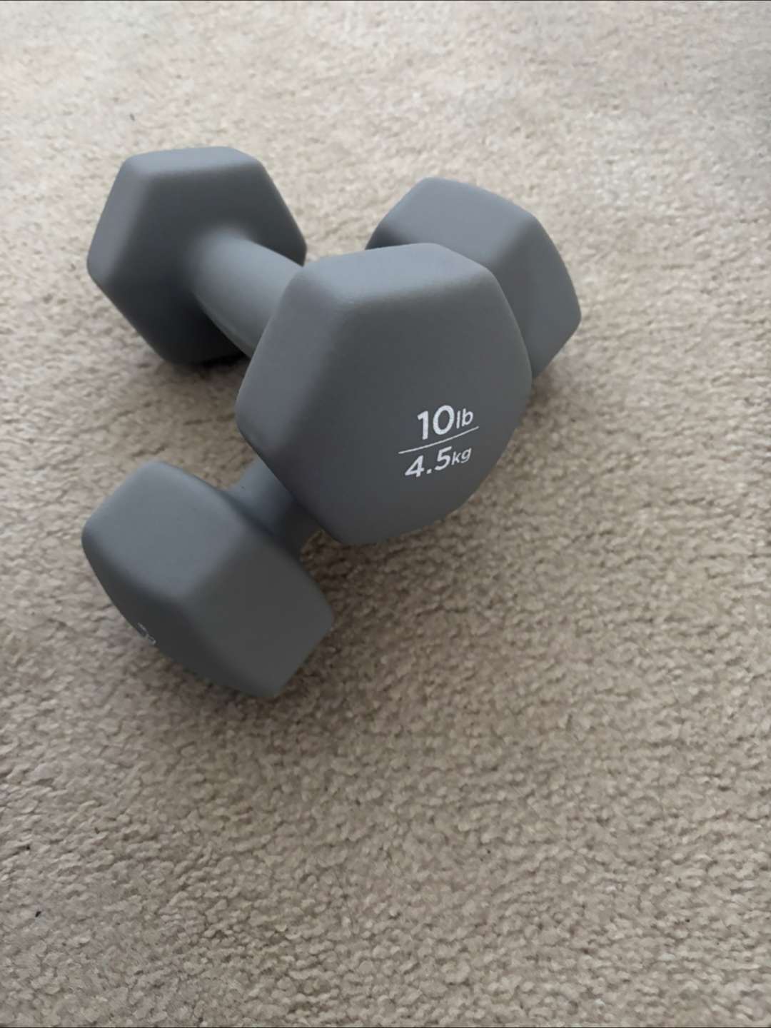 10 lb Dumbbell Set