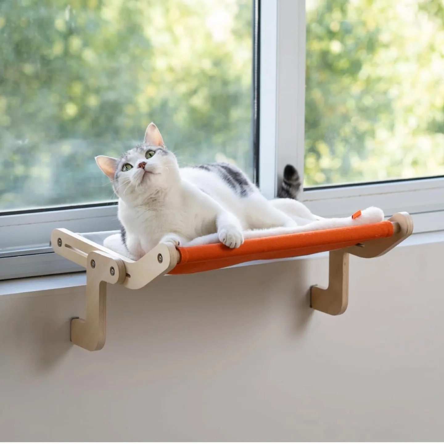(Orange with pad) Cat Window Perch Cat Window Hammock Seat image indicator(9)