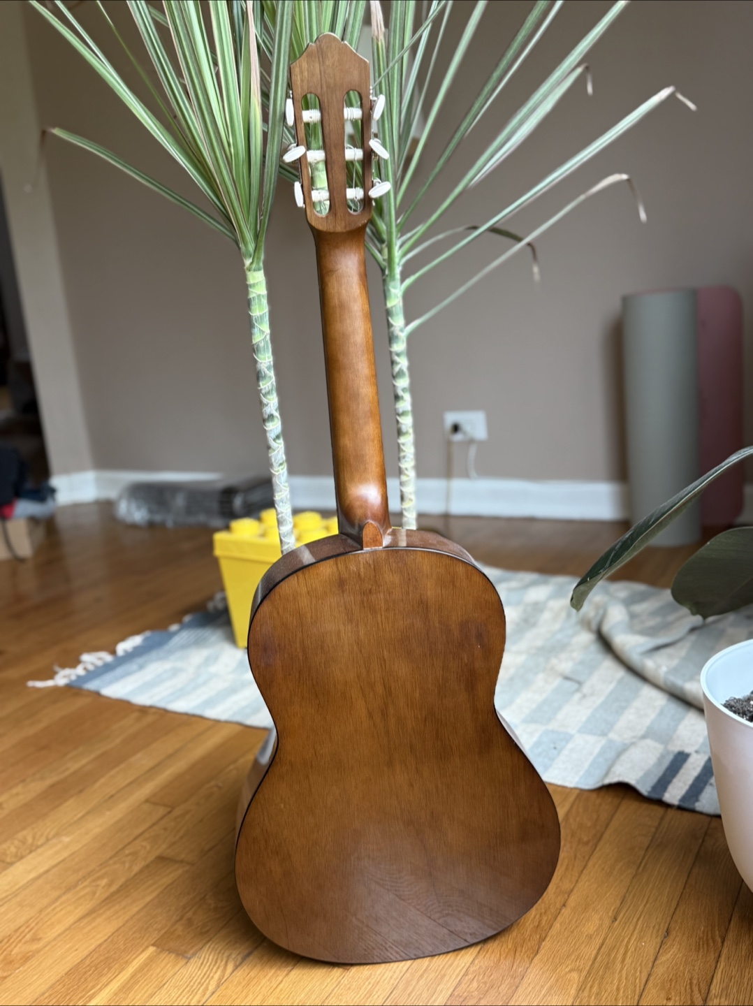 🎸 Yamaha 3/4 Size Acoustic Guitar - photo 2