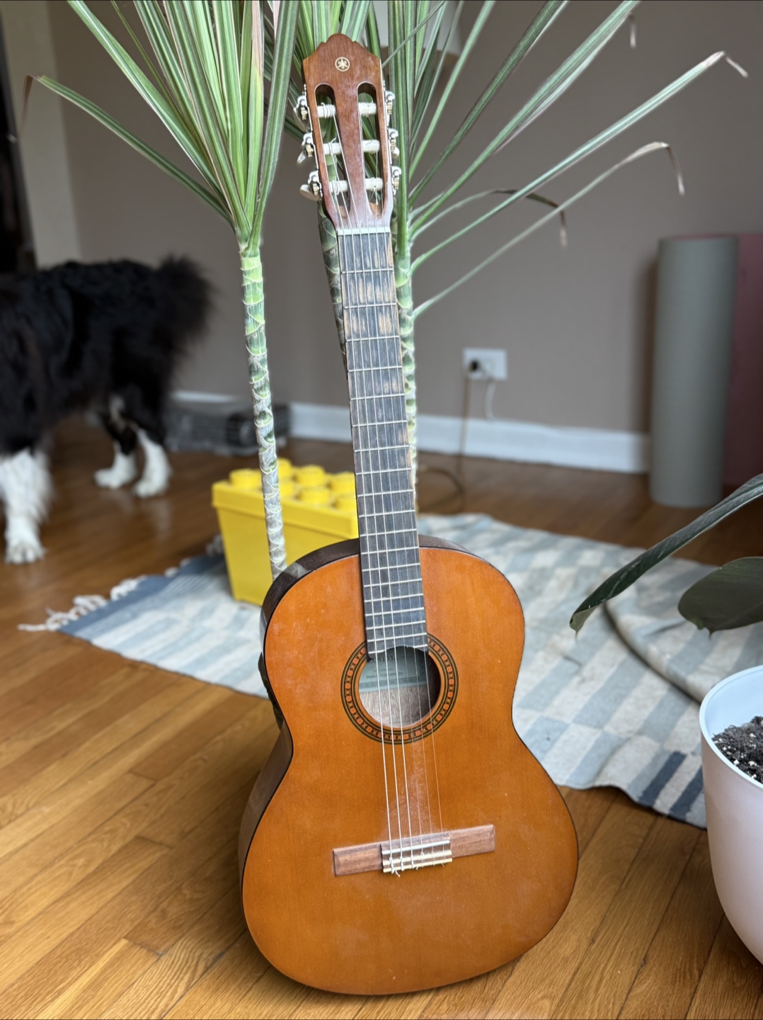 🎸 Yamaha 3/4 Size Acoustic Guitar