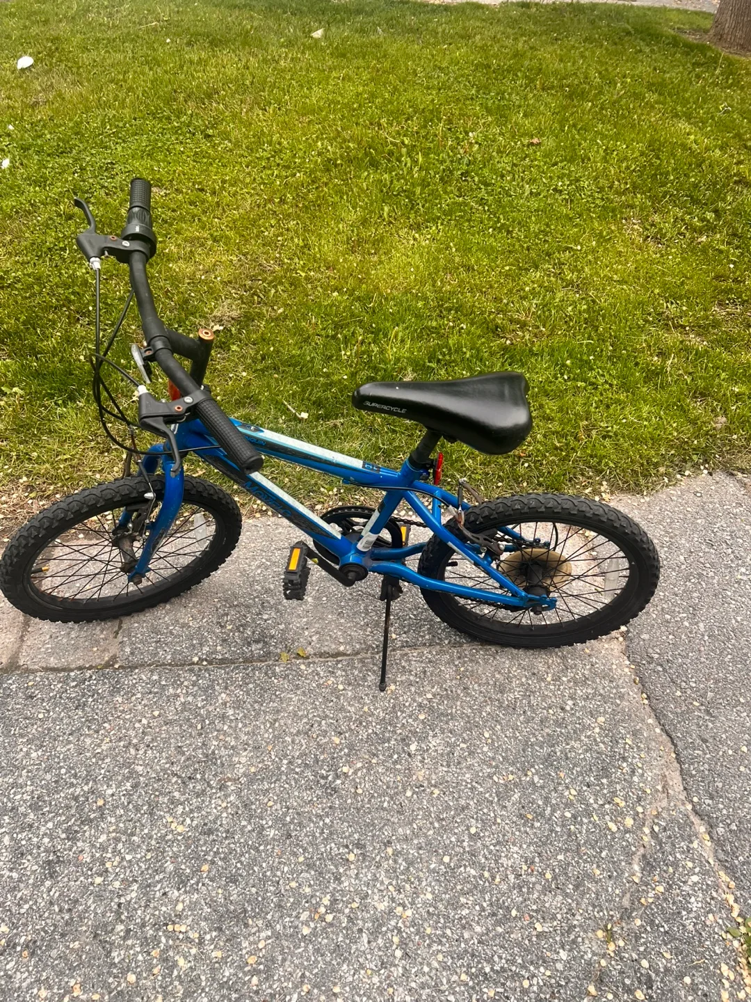 Blue Bicycle thumbnail