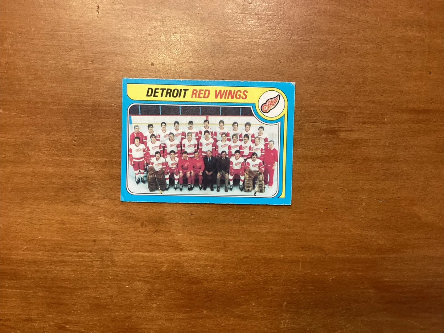 1979-80 O-PEE-CHEE DETROIT RED WINGS CHECKLIST Card # 249 ! image indicator(3)