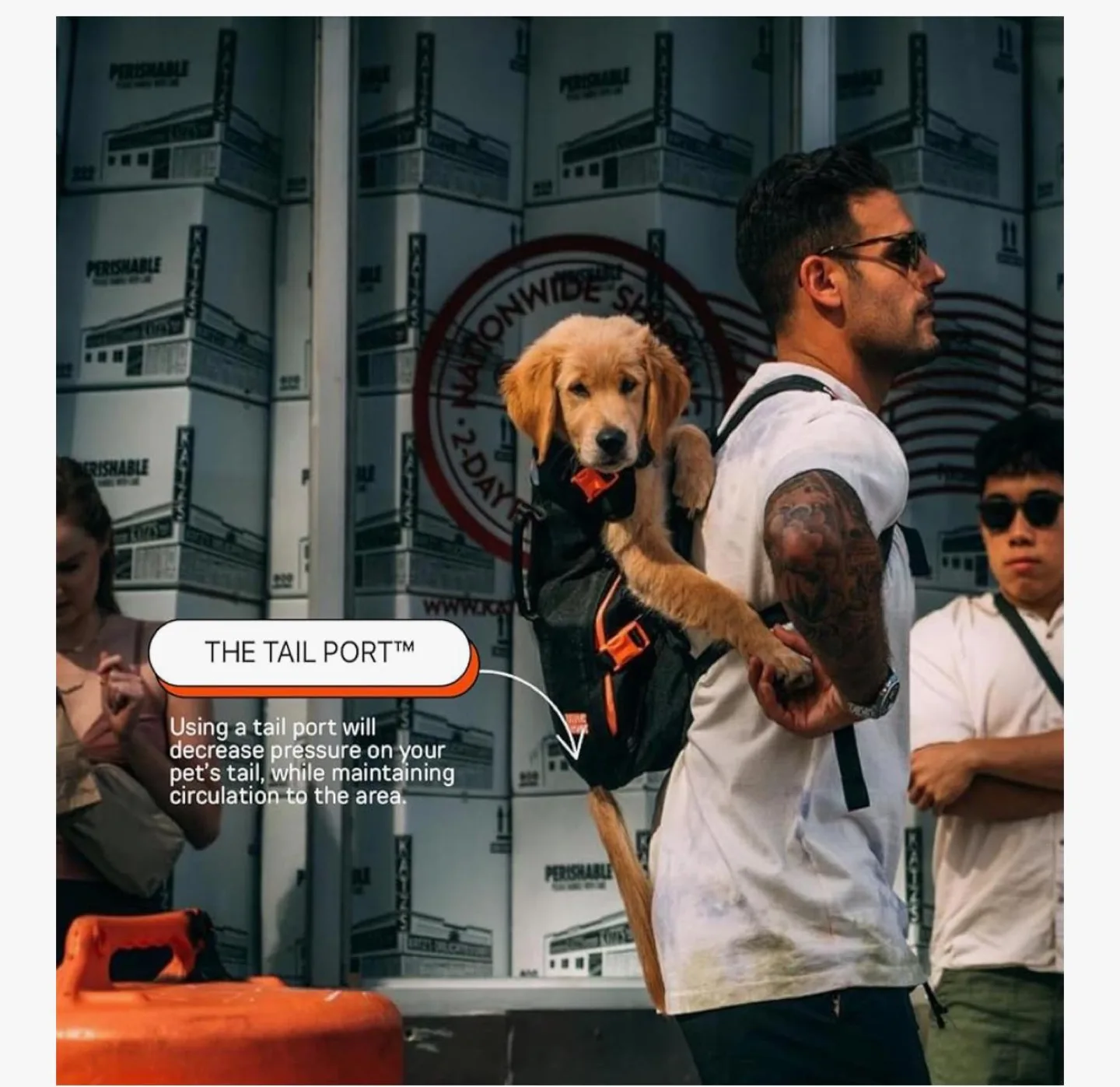 Little Chonk Backpack image indicator(8)