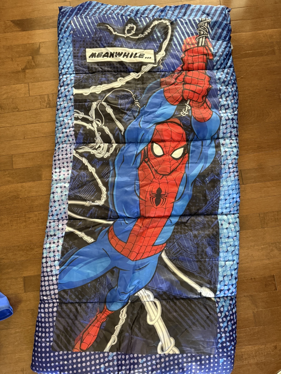 Kids Sleeping Bag & Camping Chair – $25 for both or $15 each - photo 2
