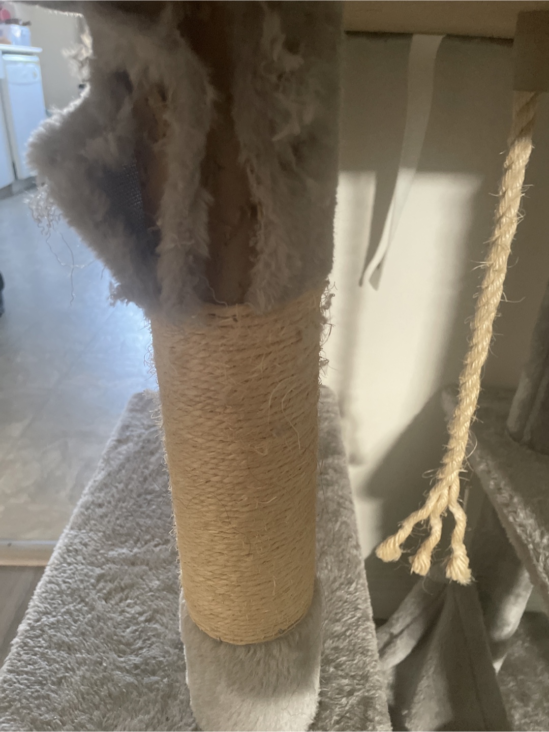 Old cat tree (FREE!!) - photo 3