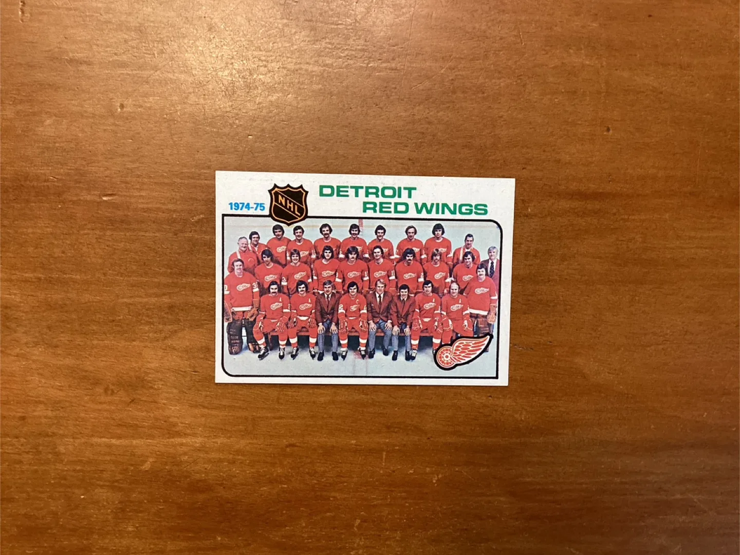 1974-75 O-PEE-CHEE DETROIT RED WINGS CHECKLIST Card 87 image indicator(3)