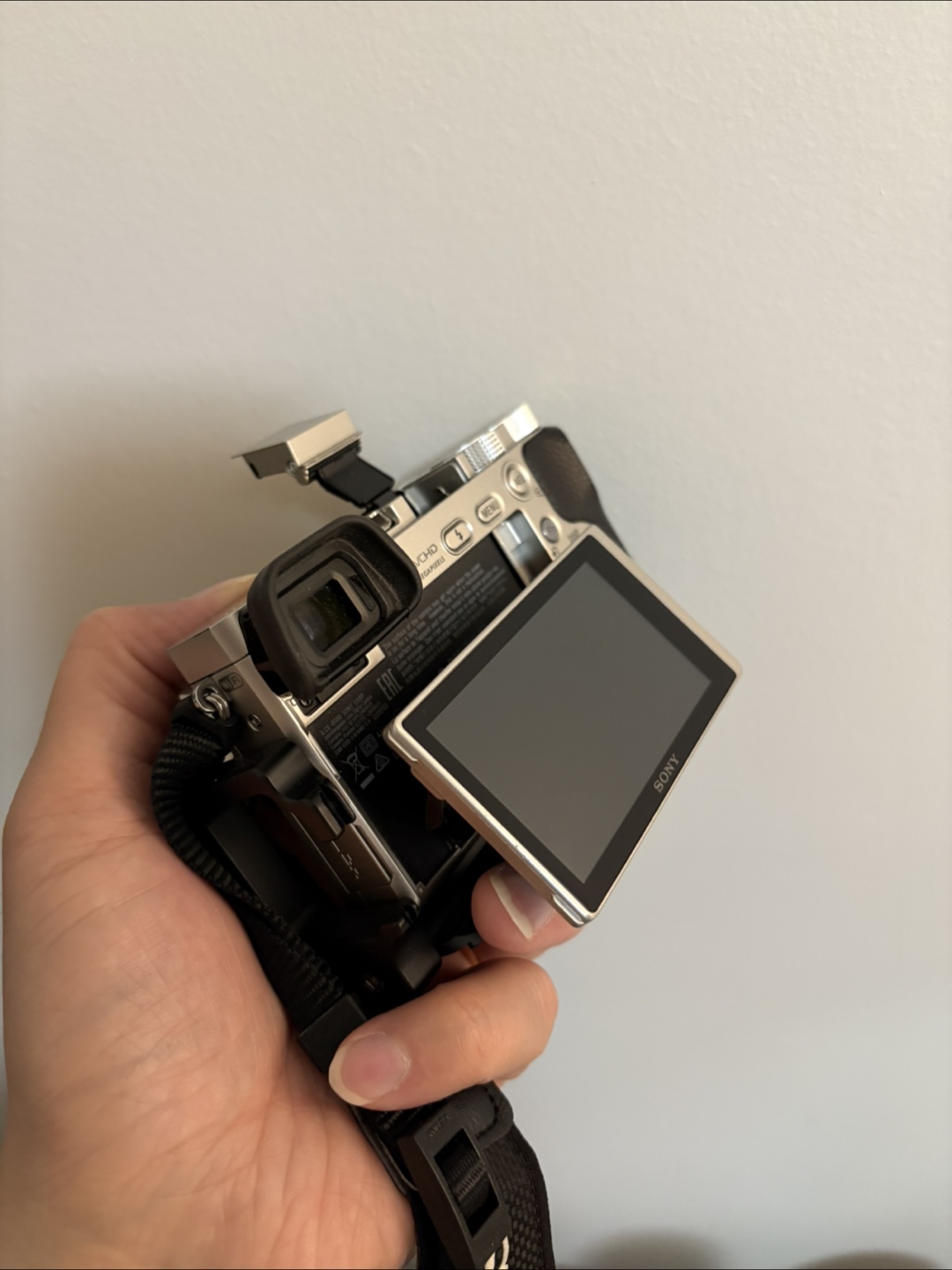 Sony A6000 mirrorless camera - photo 5