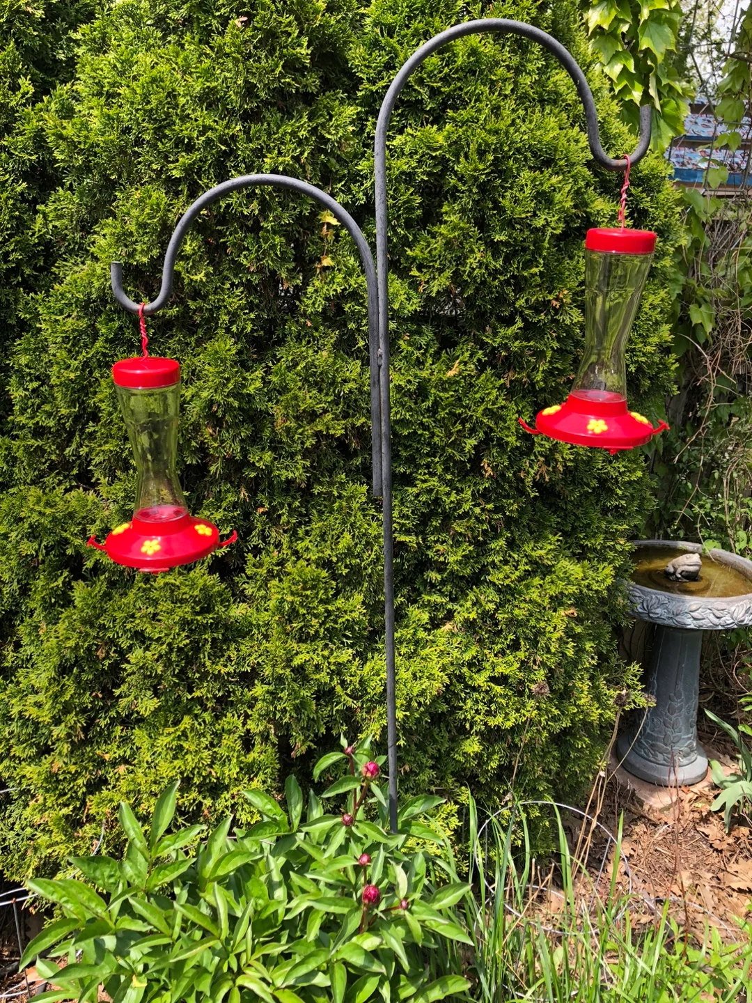 2 Humming Bird Feeders