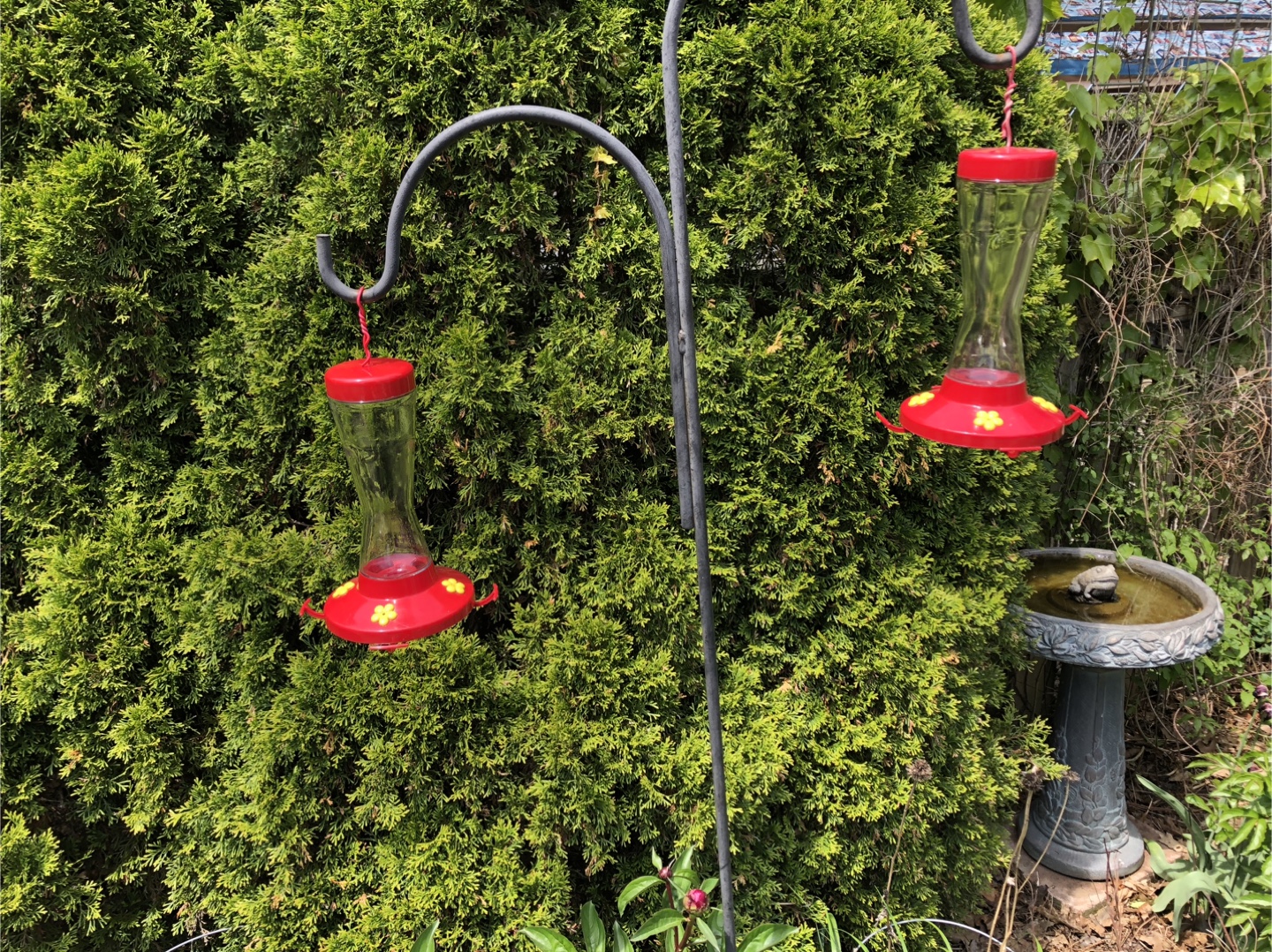 2 Humming Bird Feeders - photo 2