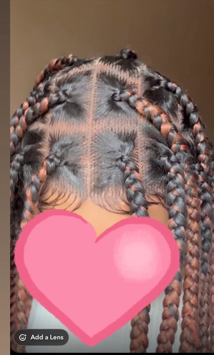 Brown Braided Wig thumbnail