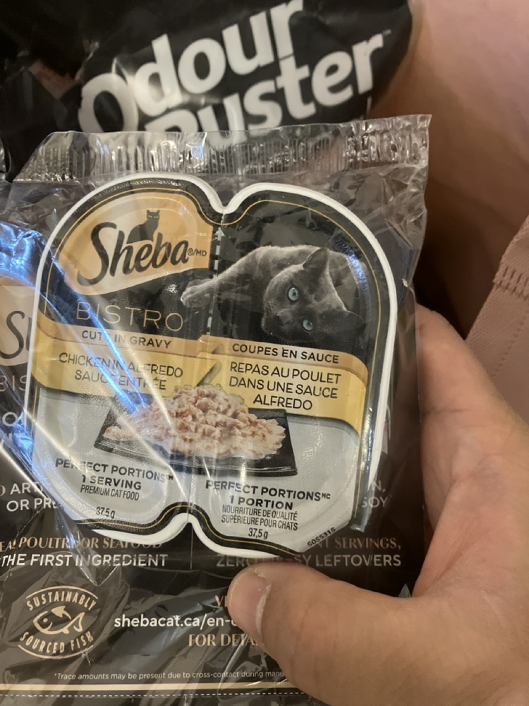 Free Cat Litter & Food Sample - photo 2