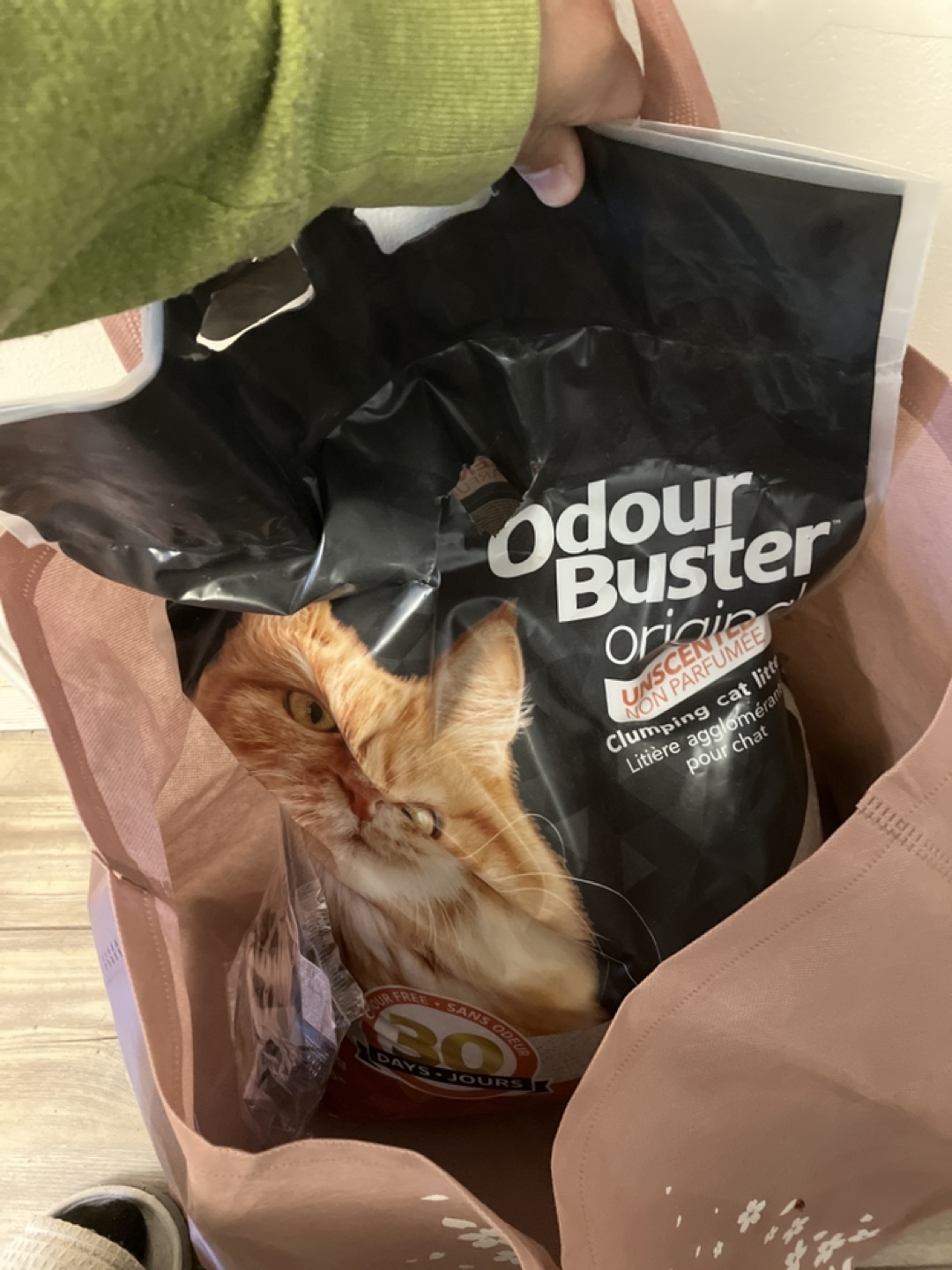 Free Cat Litter & Food Sample