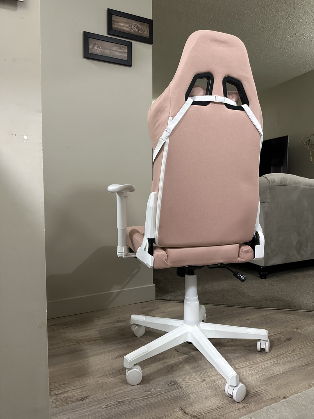 DOWINX ergonomic Gaming Chair- Pink - photo 4