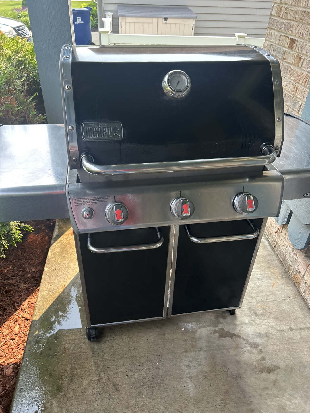 Weber Grill - photo 4