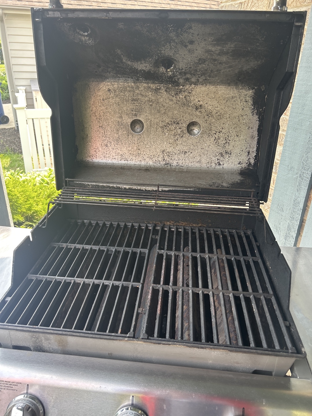 Weber Grill