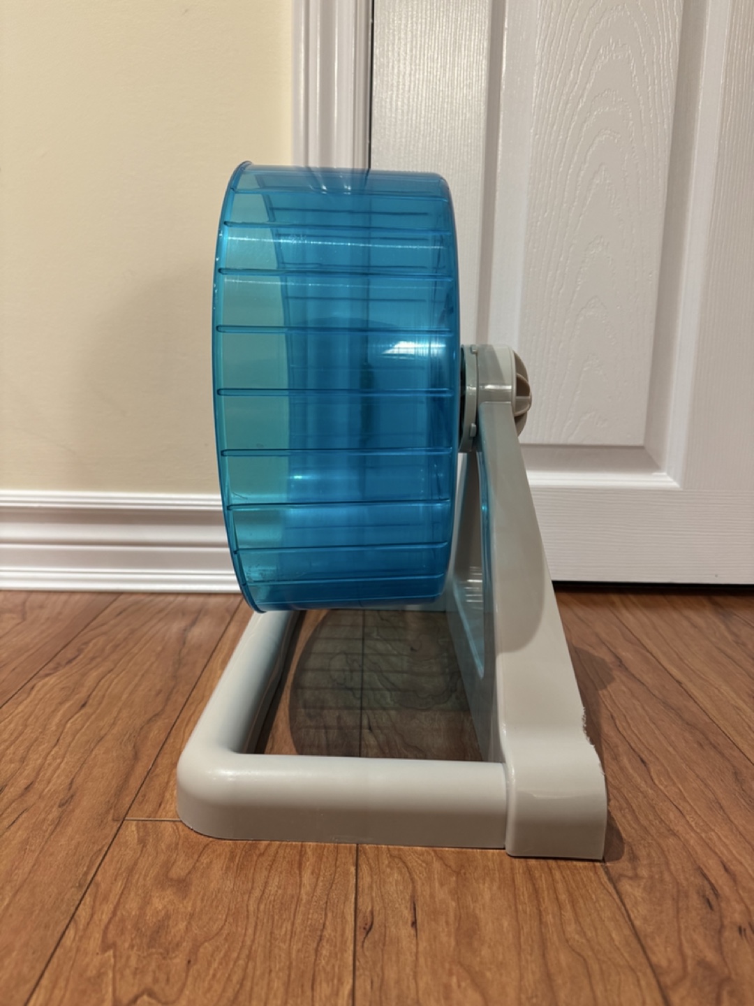 Hamster wheel (12 inches)