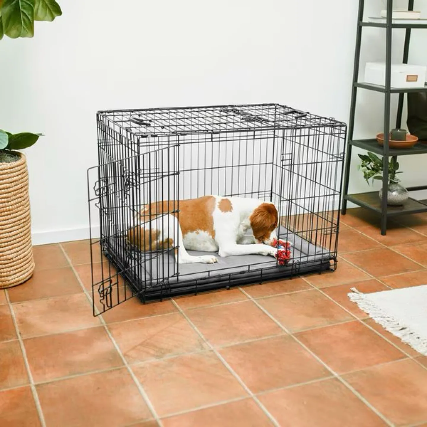 Large Dog Crate (foldable) image indicator(3)